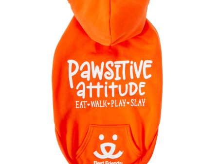 Best Friends Pawsitive Attitude Dog Hoodie - Orange, Small