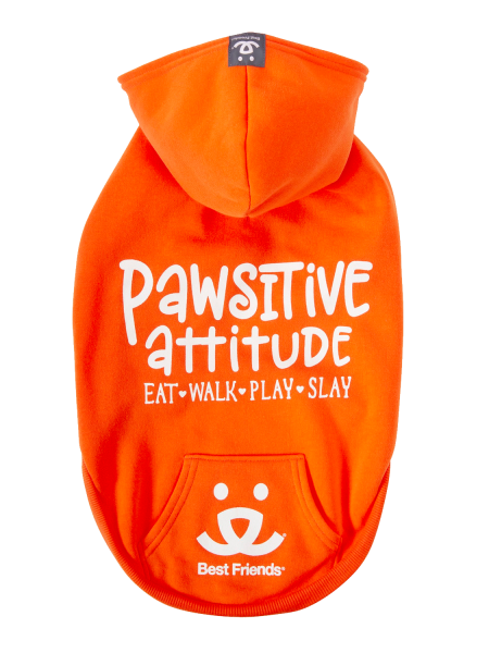 Best Friends Pawsitive Attitude Dog Hoodie - Orange, Small