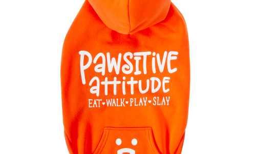 Best Friends Pawsitive Attitude Dog Hoodie - Orange, Small
