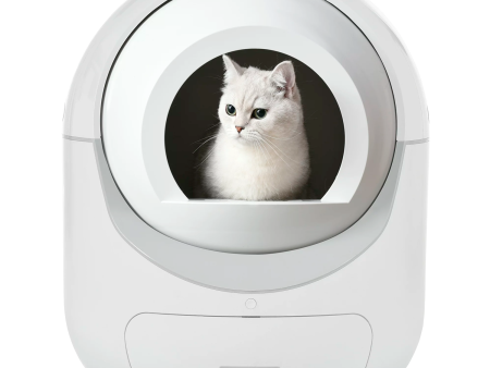 Self Cleaning Litter Boxes in Cat Litter Boxes