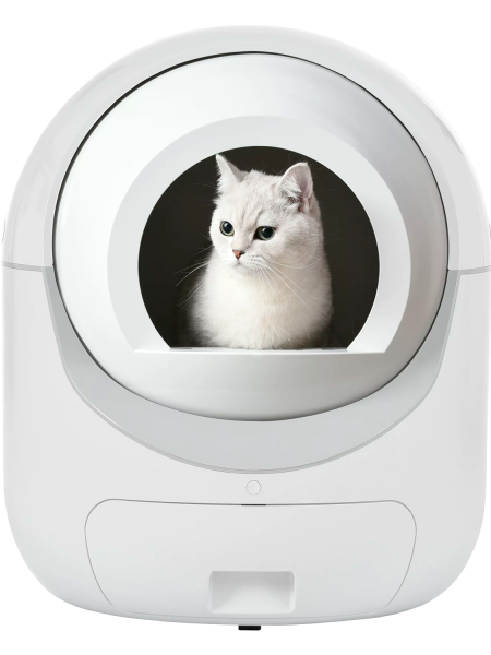 Self Cleaning Litter Boxes in Cat Litter Boxes
