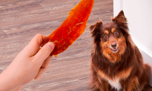 Golden Rewards Chicken Flavor Premium Dry Jerky Treats for All Dogs, 64 oz - Image 2