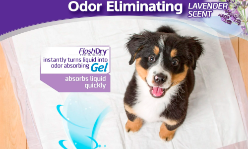 Hartz Home Protection Lavender Scent Odor-Eliminating Dog Pads, Regular Size, 21 in x 21 in, 50ct - Image 2