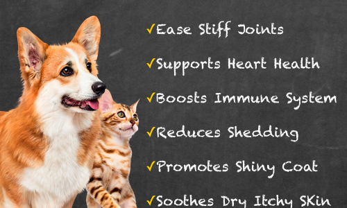 Deluxe Naturals Omega-3 Fish Oil for Dogs and Cats with All Natural Omega-3 EPA DHA Fatty Acids - 32 FL OZ - Image 2