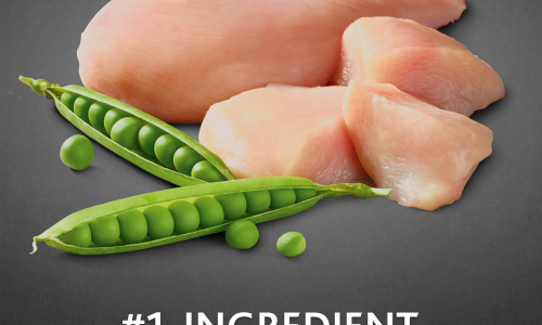 Pure Balance Pro+ Small Breed Chicken & Pea Recipe Dry Dog Food, 16 lbs - Image 3
