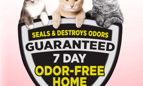 Arm & Hammer Clump & Seal Multi-Cat Complete Odor Sealing Clumping Cat Litter, 38lb - Image 3